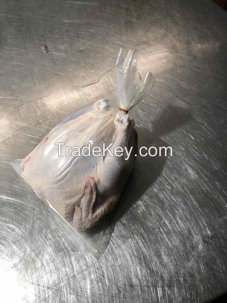 Whole Chicken 