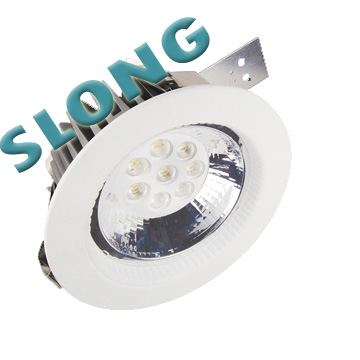 24W LED Down light