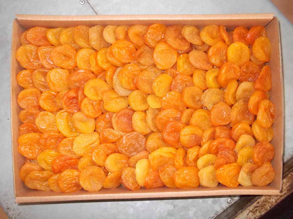 DRIED APRICOT