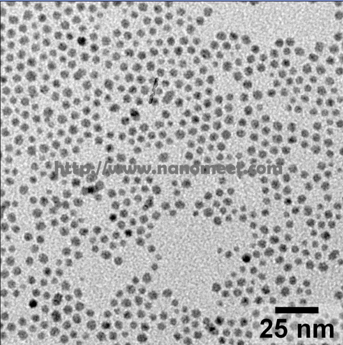 Silver Nanoparticles    NM-SNP-7