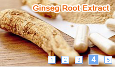 Ginseng Extract