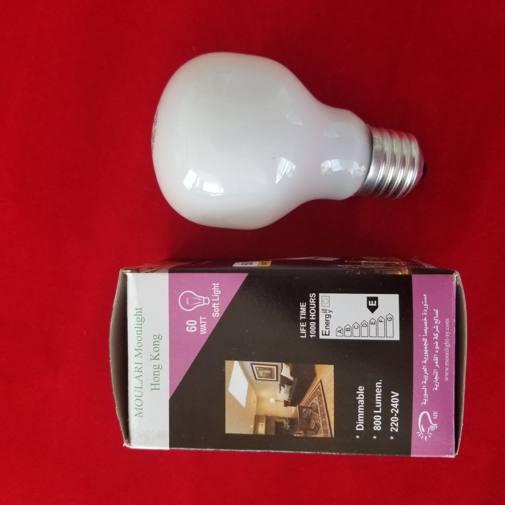 60W 220-240V E27 Moonlight incandescent light bulb