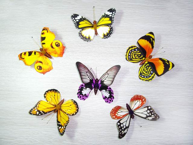 butterfly craft