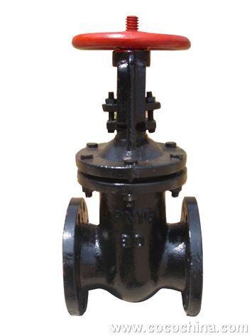 gate valve