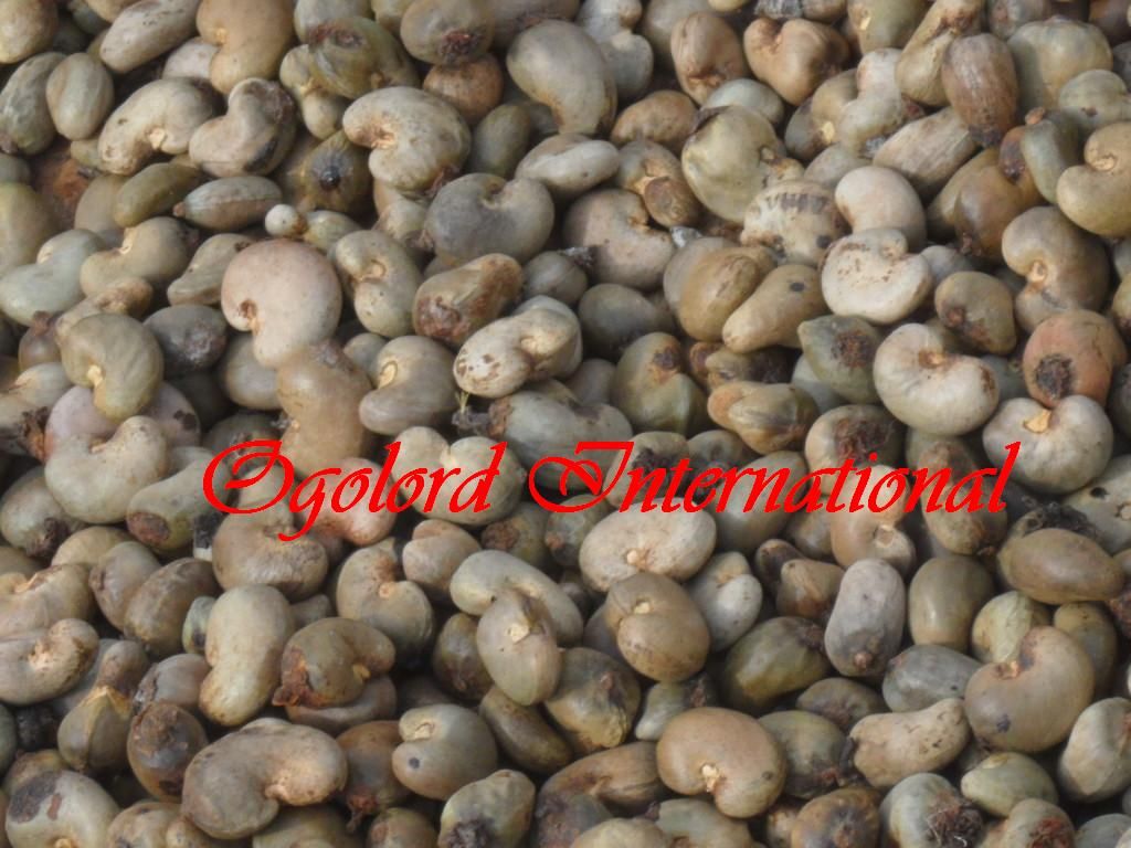 CASHEW NUTS