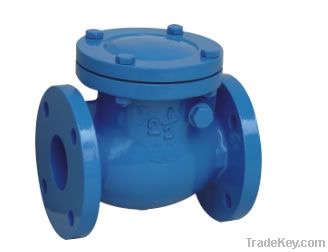 Swing check valve