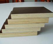 Birch  Film Fancy Plywood