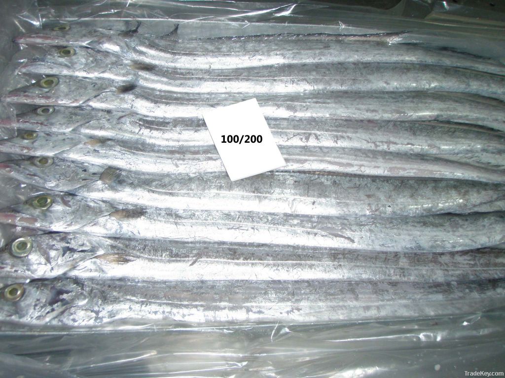 FROZEN RIBBON FISH