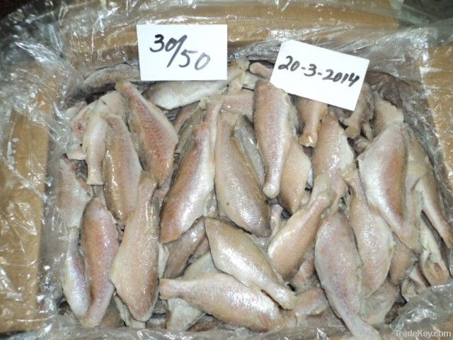 FROZEN SILVER CROAKER FISH