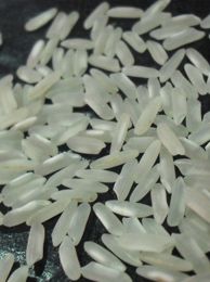 IRRI 6 LONG GRAIN WHITE RICE