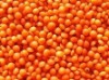 Red Lentil 