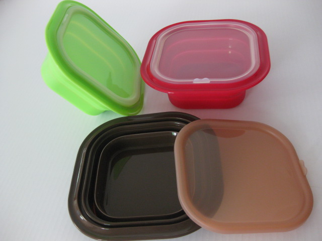 silicone food container