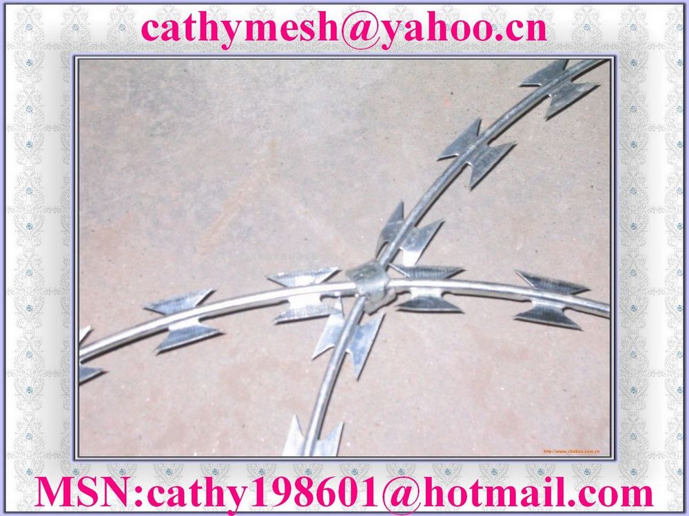 galvanized barbed Wire/razor barbed wire