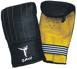 Bag Mitt and Focus Pads