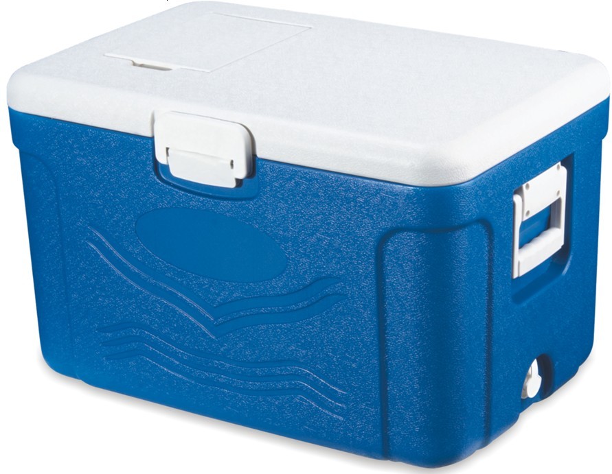 Cooler box 50L