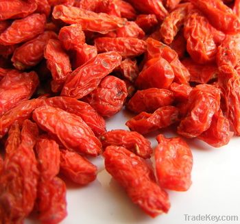 goji berry