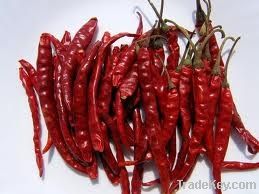 Chilli