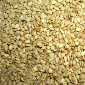 Sesame Seeds