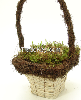 BASKET BETSY WHITE