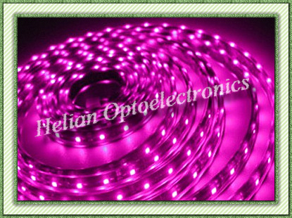 SMD5050 LED Flexible Strip(IP68 150led/roll)