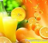 ORANGE JUICE CONCENTRATE