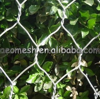 Hexagonal Wire Mesh/Chicken Wire Mesh