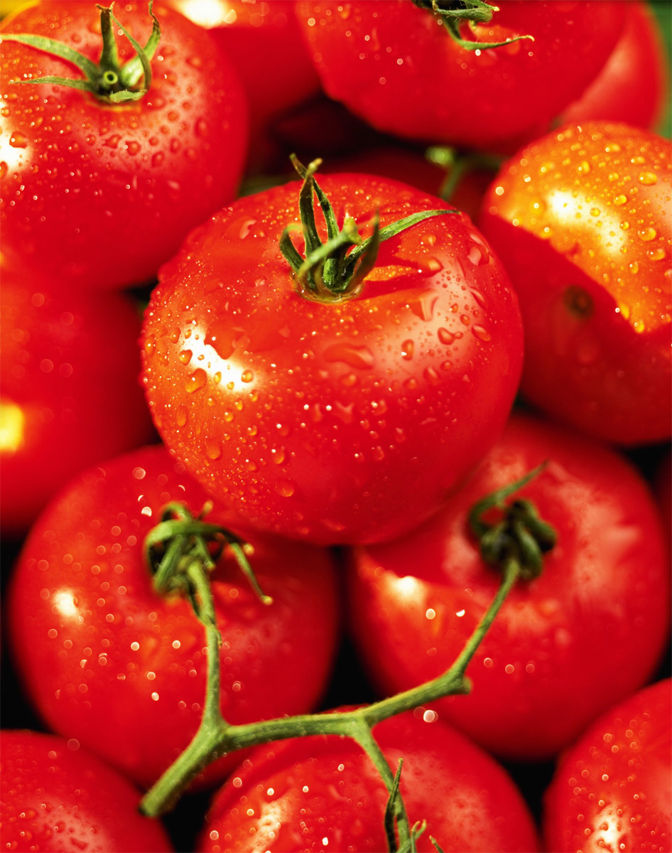 Fresh Vegetables From Turkey