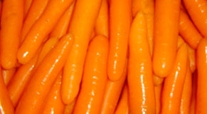 Carrot