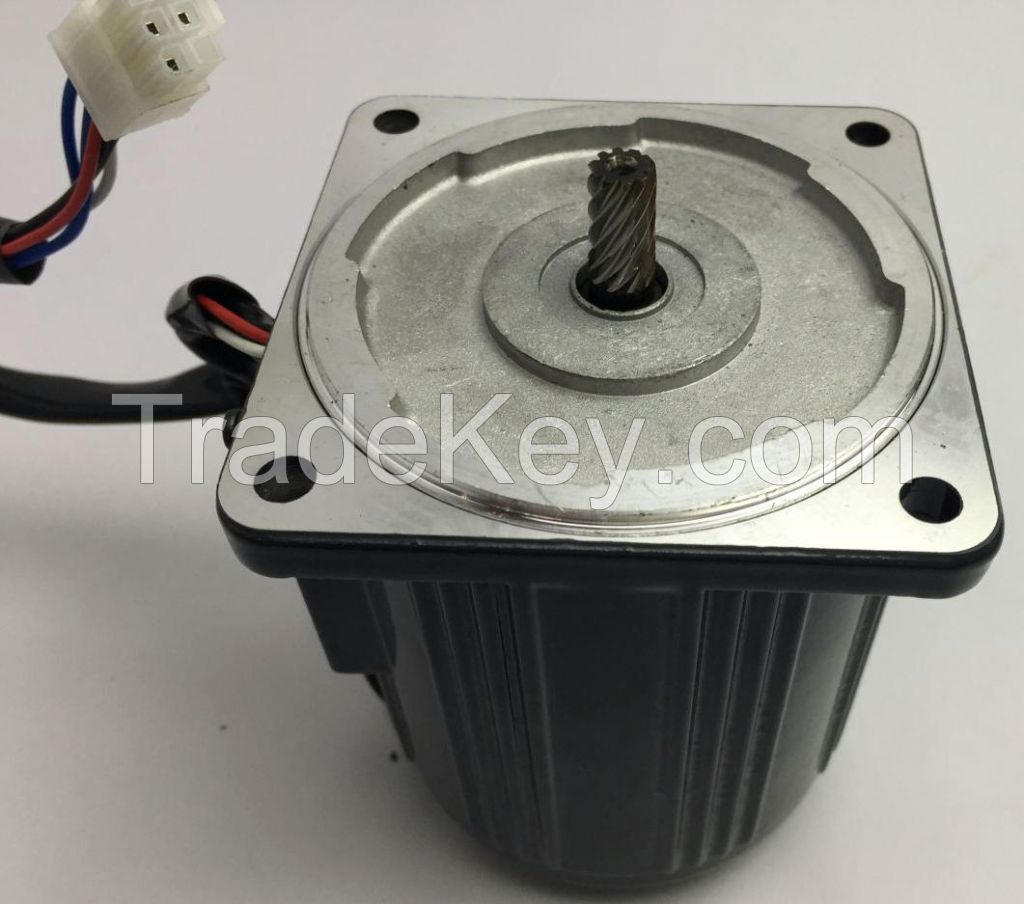 60W induction motor 