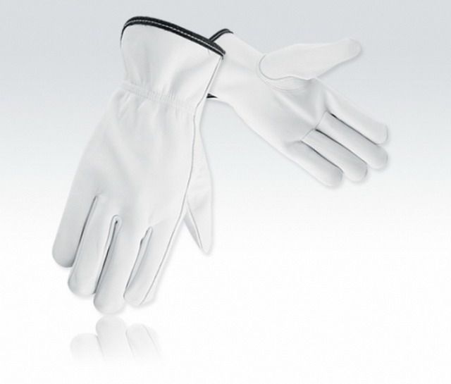 Driver Glove ( 200.00)