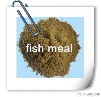 fish meal