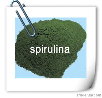 Spirulina