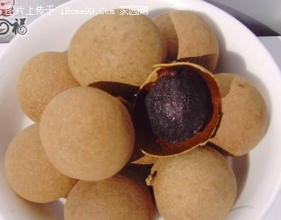 Dried Longan Fruits