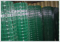 Welded Wire Mesh