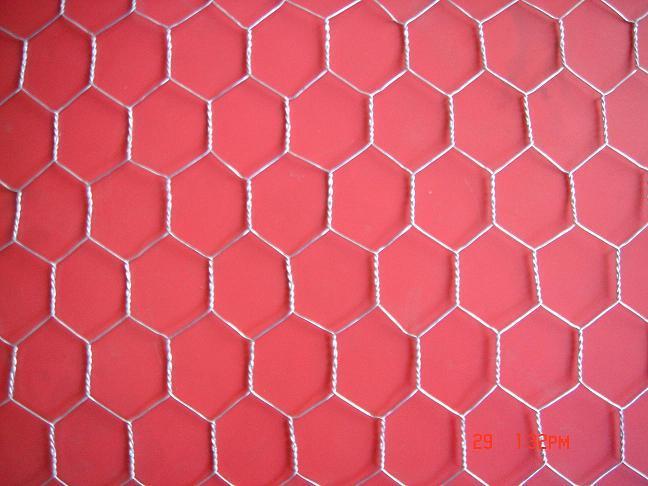 Hexagonal Wire Mesh