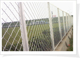 Wire Mesh Fencing