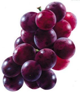 Grape Seed Extract