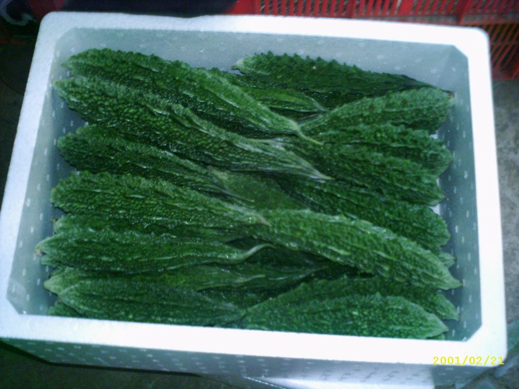 fresh karela