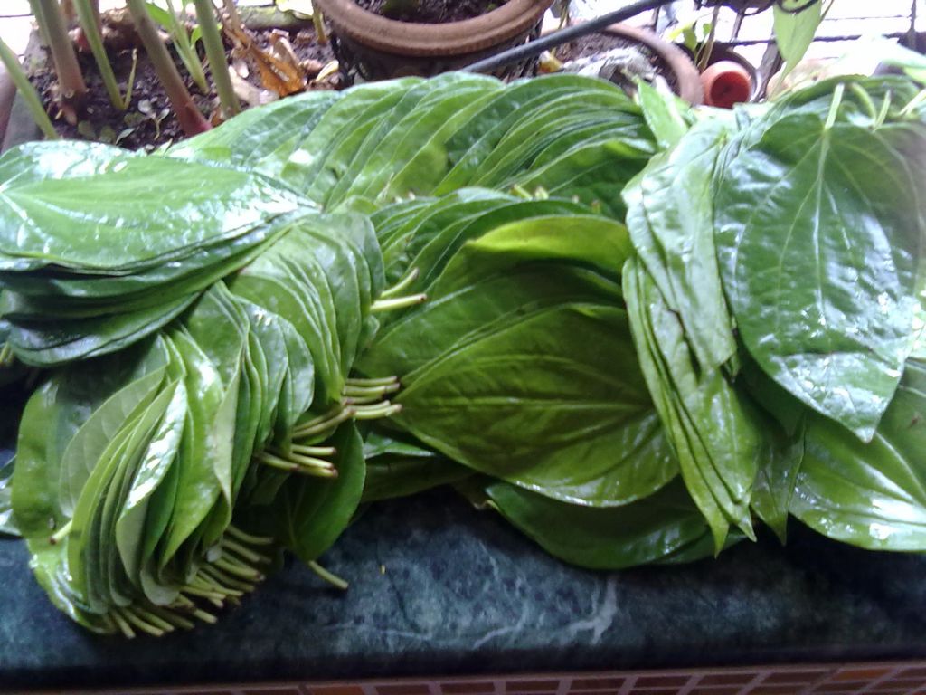 betel leaves