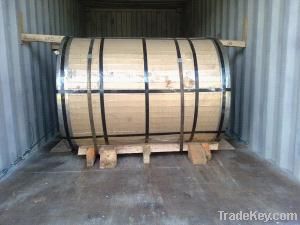 TISCO Stainless Steel Coil