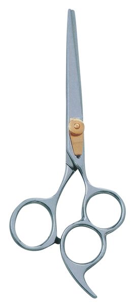 Professional Scissors