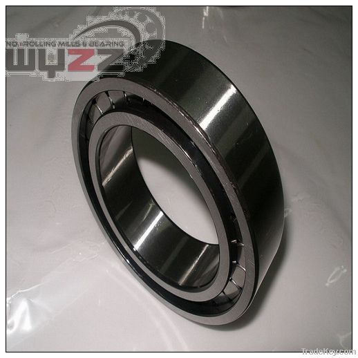 Single row cylindrical roller bearing