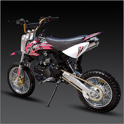 Dirt Bike Model # D5110A