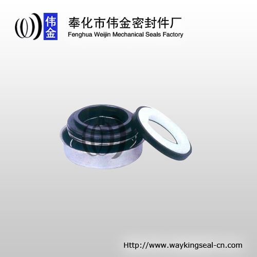 auto water pump seal