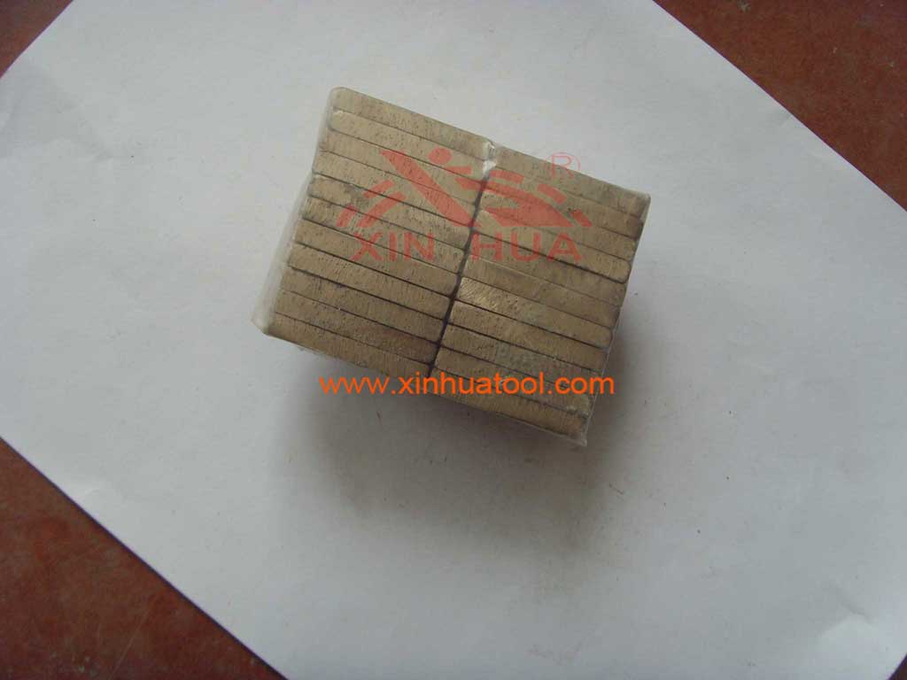 blade segment
