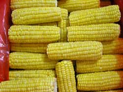 frozen sweet corn kernel