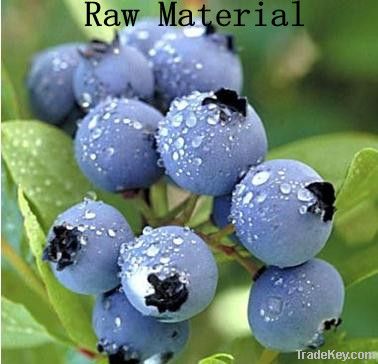 Bilberry Extract, Anthocyanidins 10%, 25%