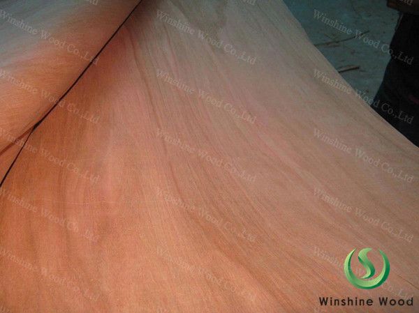 rotary cut okoume veneer 