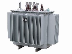 Oil Immersed Distribution Transformer