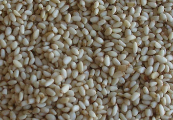 pine kernels suppliers,pine kernels exporters,pine kernels manufacturers,pine kernels traders(4000-6000 count)